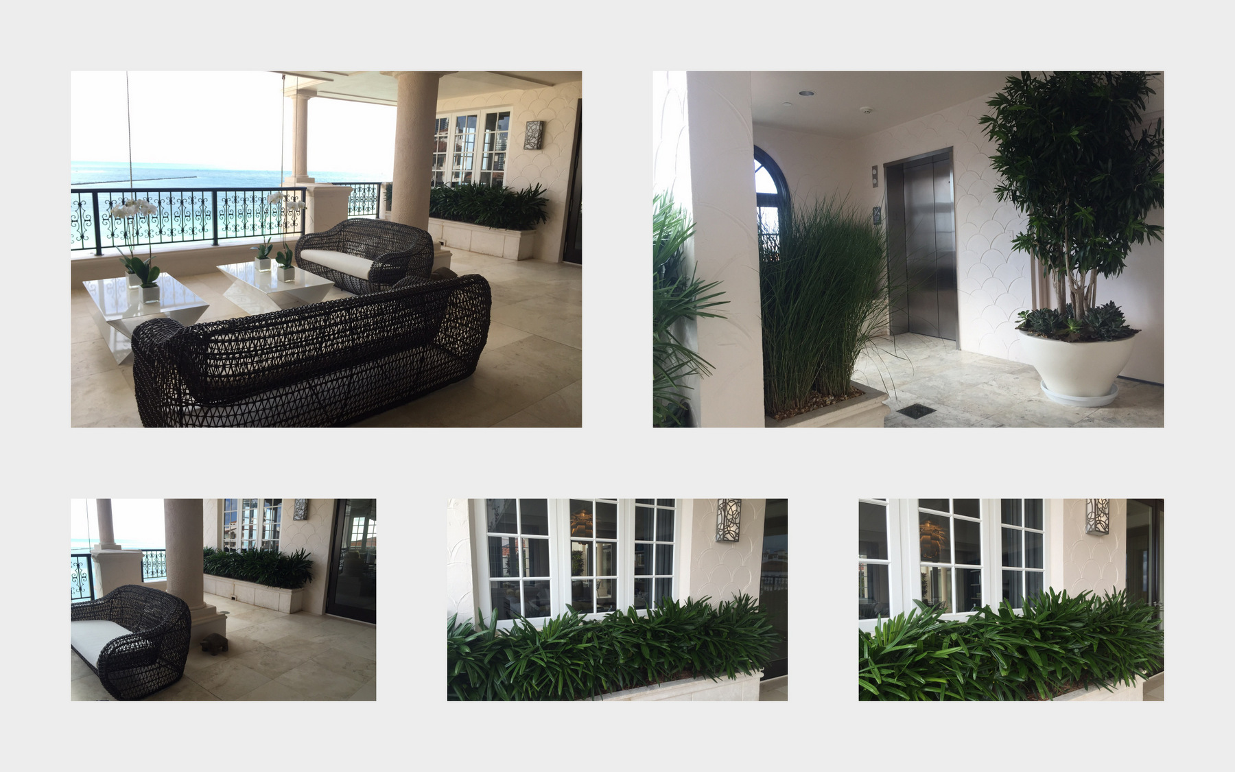 Final installation photos of Rhapis and Reflexa at a residence on Fisher Island, Florida