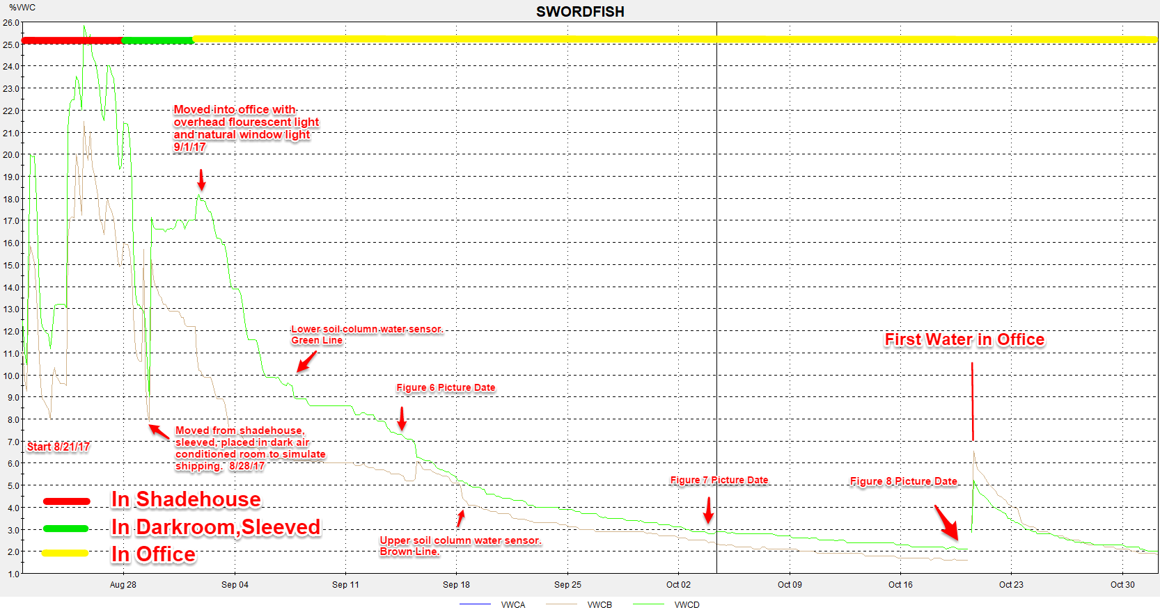 Figure 1.  Graph of the %VWC for the Experiment Period up to and just after the first time the plant was watered.